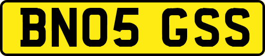 BN05GSS