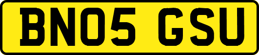 BN05GSU