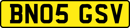 BN05GSV