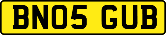 BN05GUB