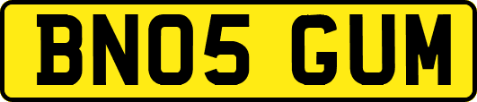 BN05GUM
