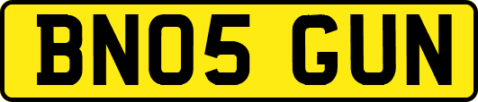 BN05GUN