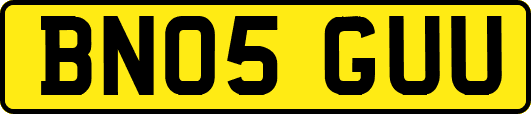 BN05GUU