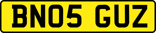 BN05GUZ