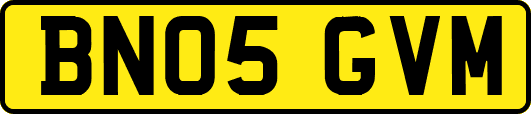 BN05GVM