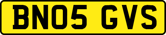 BN05GVS