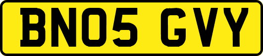 BN05GVY