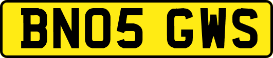 BN05GWS