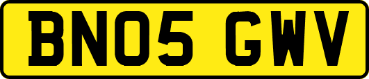 BN05GWV