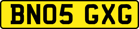 BN05GXG