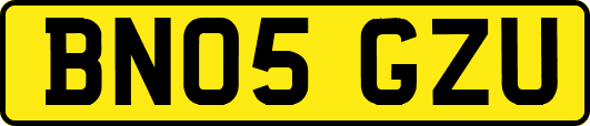BN05GZU