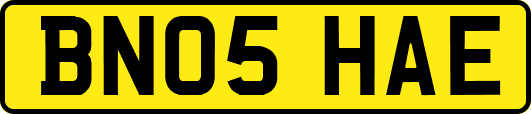 BN05HAE