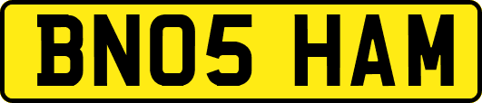 BN05HAM