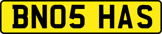 BN05HAS