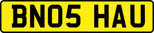 BN05HAU