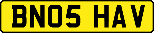 BN05HAV