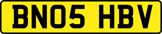 BN05HBV
