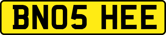BN05HEE