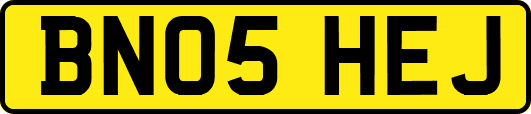 BN05HEJ