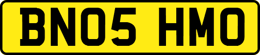 BN05HMO