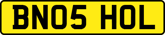 BN05HOL
