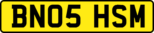 BN05HSM