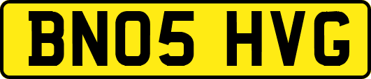 BN05HVG