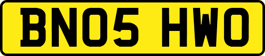 BN05HWO