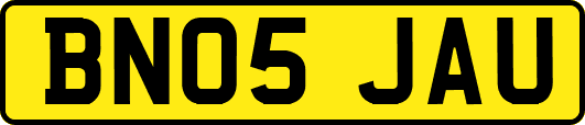 BN05JAU