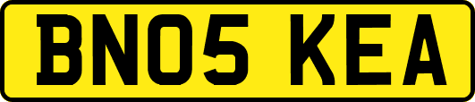 BN05KEA