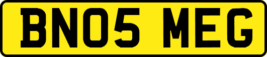 BN05MEG