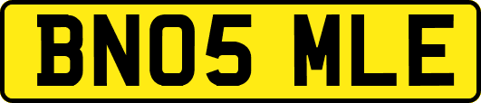 BN05MLE
