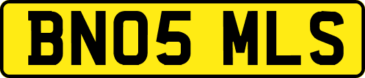 BN05MLS