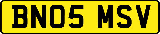 BN05MSV