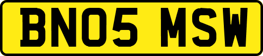 BN05MSW