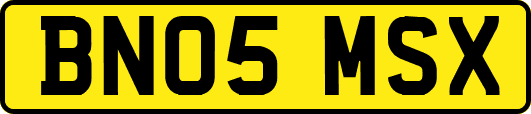 BN05MSX