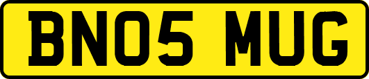BN05MUG