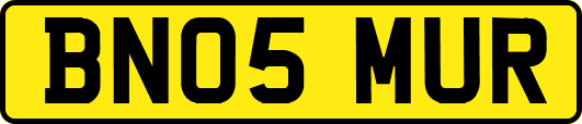 BN05MUR