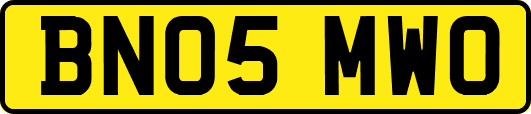 BN05MWO