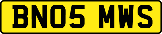 BN05MWS