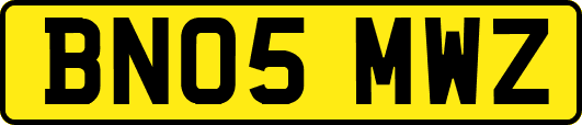 BN05MWZ
