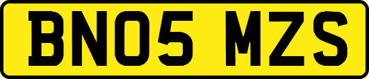 BN05MZS