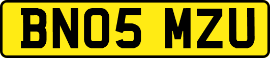 BN05MZU