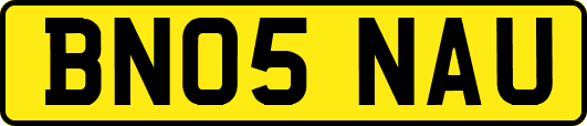 BN05NAU
