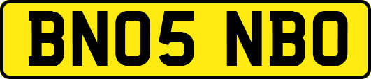 BN05NBO