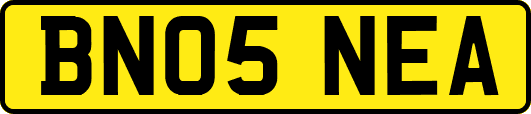 BN05NEA