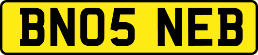 BN05NEB