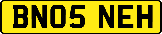 BN05NEH