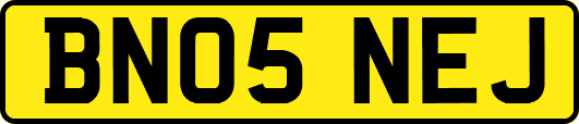 BN05NEJ