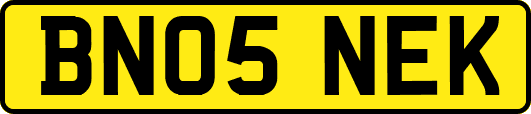 BN05NEK